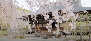 ［webCM］2018年 春 オリジナル映像「天龍寺」篇 そうだ 京都、行こう。